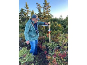 John Kearney, a former wind consultant who is now using acoustics to monitor bird populations, works on one of his stations in Nova Scotia in a handout photo. The 74-year-old environmental anthropologist is objecting to a wind development in southwestern Nova Scotia, saying it poses too great a risk to migrating flocks. The proponent of Wedgeport Wind Farm disagrees, saying the blades don't threaten declining populations, and help the province reach its greenhouse gas emission goals.