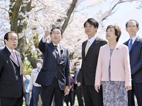 Japan's Prime Minister Fumio Kishida views cherry blossoms in Tomioka town, Fukushima prefecture, Japan Saturday, April 1, 2023. Evacuation orders were lifted in small sections of a Japanese town just southwest of the wrecked Fukushima nuclear power plant on Saturday, in time for the area's popular cherry blossom season, and Kishida joined a ceremony to mark the reopening. (Kyodo News via AP)
