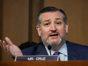 Ted Cruz speaks during a business hearing