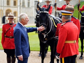 Britain's King Charles III (2L), is officially presented with 'Noble', a horse given to him by the Royal Canadian Mounted Police (RCMP) earlier this year, as he formally accepts the role of Commissioner-in-Chief of the RCMP during a ceremony in the quadrangle at Windsor Castle, west of London on April 28, 2023.