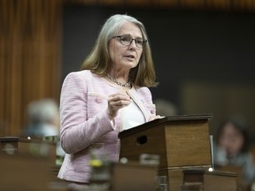 Conservative MP Cathay Wagantall speaks about her private members bill, C-311 Violence Against Pregnant Women Act, as it begins debate in the House of Commons, May 9, 2023.