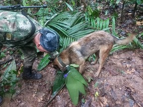 Colombian soldier jungle rescue