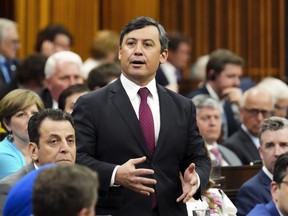 Conservative MP Michael Chong speaks during question period in the House of Commons on May 2, 2023.