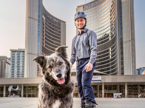 Molly, a dog running for Toronto mayor.