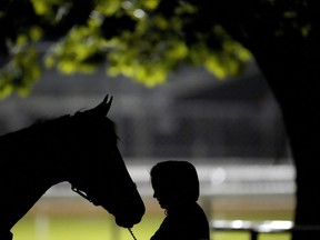 A woman holds a horse after an early-morning workout at Churchill Downs Wednesday, May 3, 2023, in Louisville, Ky.