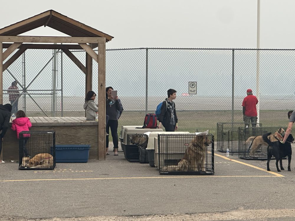 Northern Alberta community of Fort Chipewyan evacuated due to wildfire