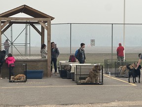 Evacuees and their pets wait at the Fort Chipewyan, Alta. airport in this handout photo. A northern Alberta hamlet was eerily quiet and peaceful Wednesday after being evacuated in the face of an out-of-control wildfire inching closer to town.