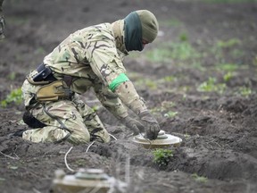 FILE - An interior ministry sapper defuses a mine on a minefield after recent battles in Irpin close to Kyiv, Ukraine, on April 19, 2022. Cyprus is working together with Irish and U.S. military experts to help train two groups of Ukrainian personnel in clearing an untold number of unmarked minefields in their homeland, the island nation's defense minister said Friday May 12, 2023.