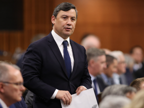 FILE: Conservative foreign-affairs critic Michael Chong rises during Question Period in the House of Commons on Parliament Hill in Ottawa on Monday, Feb. 13, 2023.