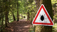 Infected ticks warning sign in a forest. Risk of tick-borne and lyme disease.