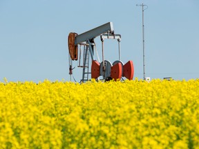 Oil pumpjack farm