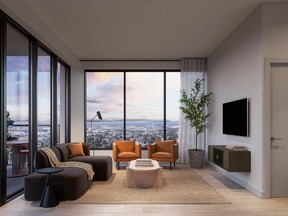 The suites