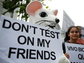 Animal testing