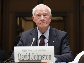 Special Rapporteur David Johnston.
