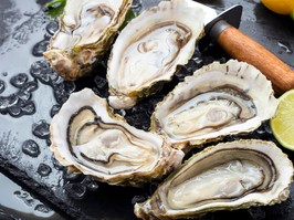 Oysters