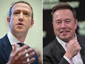 zuckerberg and musk