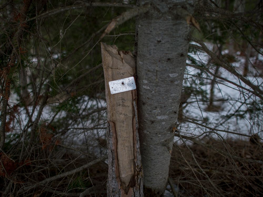 A physical staked mining claim near Cobalt, Ont., in 2018.