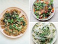 Three vegetarian meals on individual plates