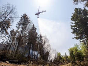 A wildfire in Tantallon, N.S.