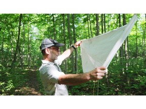 DND tick expert Steve Schofield studies ticks and found some ticks during a walk out near the Carling campus, July 05, 2023.