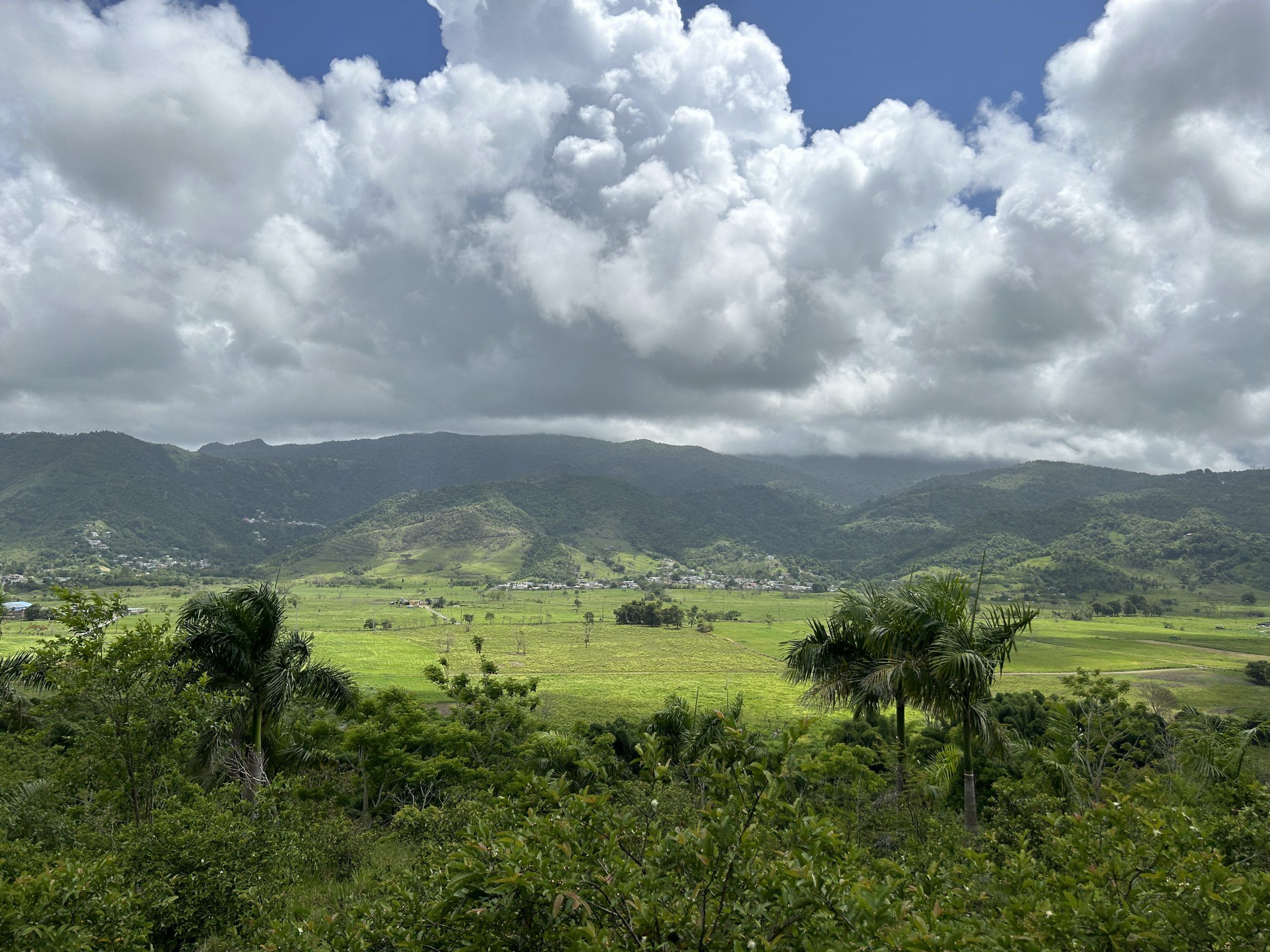 The incredible view at