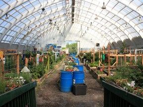 The Inuvik Community Greenhouse, which was formerly a hockey arena, is seen in Inuvik, N.W.T., Tuesday, July 4, 2023. In December 2022, the federal government announced $19.5 million in support for up to 79 new projects across the country related to food security in Indigenous, remote and northern communities.