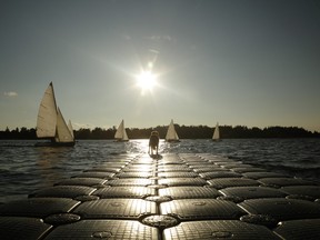 Sailboats on Belwood Lake