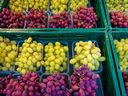 El precio de las uvas subió un 30 por ciento en junio desde mayo.