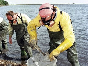 FILE - Environmental workers put dead fish into bags near the Donana Natural Park, in southern Spain, Monday April 27, 1998, after a dike of a mine reservoir broke dumping 5 million cubic meters (176.55 million cubic feet) of toxic waste outside Seville. In a civil trial that opened Tuesday, July 4, 2023, Spanish authorities are seeking 90 million euros ($98 million) in damages from a Swedish mining company for the major toxic spill near the famed Doñana National Park in 1998.