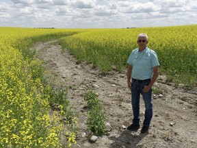 Ryan Maurer, co-owner of Land and Sky Grains, stands on a 70-year-old drainage ditch that runs through his canola field near Grenfell, Sask., on Friday, July 7, 2023. Spring run-off and rain travel via ditches through numerous cultivated fields and eventually into Three Mile Creek.