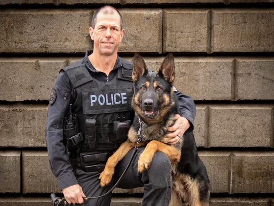 Toronto police dog Bingo shot dead after murder suspect opens fire ...