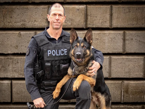 Toronto police dog