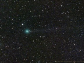 Comet Nishimura