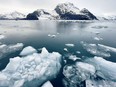 The ice gets thicker as our tour boat gets closer to the Columbia Glacier on Prince William Sound in Valdez, AK.