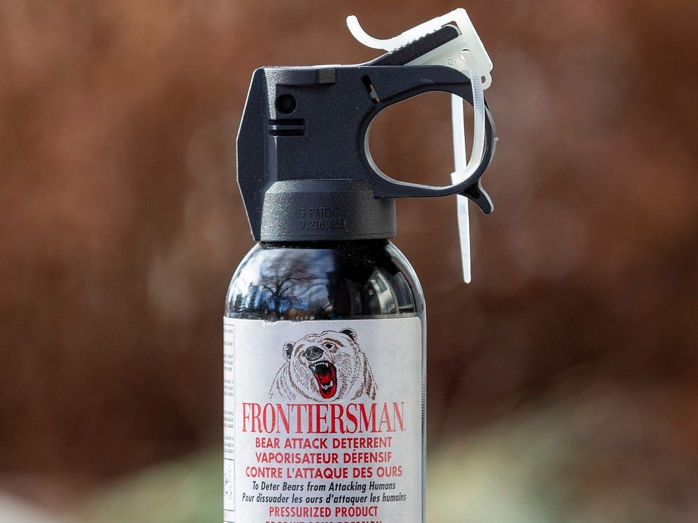 Toronto police arrest 45-year-old for using bear spray on people | Owen ...