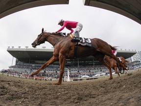 Paramount Prince, with Patrick Husbands aboard, crosses the finish line to win the 164th running of the King's Plate horse race in Toronto on August 20, 2023.