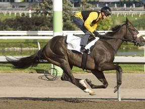 Woodbine Entertainment has reached an agreement with bet365 to make horse racing available to Ontario sports bettors through the online betting company's platform.