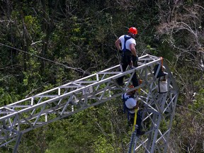 FILE - Workers restore power lines damaged by Hurricane Maria in Barceloneta, Puerto Rico, Oct. 15, 2017. Activists and environmental groups including the Sierra Club are suing on Monday, Aug. 14, 2023, Puerto Rico's government over the planned location of dozens of renewable energy projects meant to ease the U.S. territory's power woes.