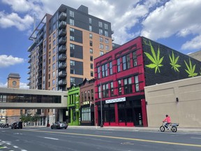Massive green marijuana leaves are painted against a black wall on a building connected to The THC Joint, a business that sells hemp-derived THC products and accessories, in Minneapolis, July 31, 2023. Minnesota's legalization of recreational marijuana went into effect on Tuesday, Aug. 1, 2023, allowing people 21 and older to legally possess and grow their own marijuana for recreational purposes, subject to limits as the state establishes a legal cannabis industry in the coming months and years.