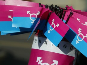 The transgender community was recognized in Ottawa on Nov. 20, 2010 with a flag raising ceremony at Ottawa Police Headquarters and a march to Parliament Hill.