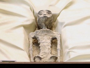 The body of an alleged mummified extraterrestrial is displayed for Mexico's Congress.