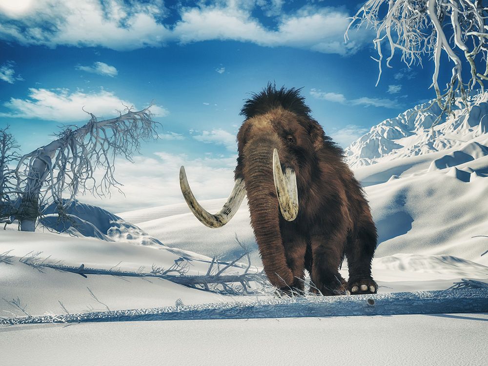 jesse_kline_climate_change_ice_age_green_technology_mammoth