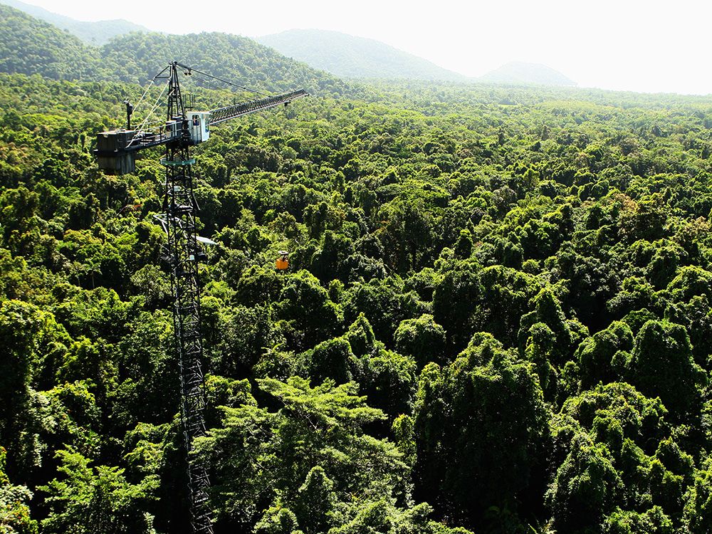 jesse_kline_climate_change_green_energy_technology_rainforest