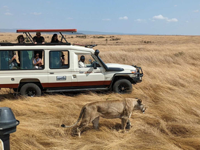 Travel Essentials: Safari Edition, by 365 Adventures