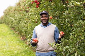 farm worker