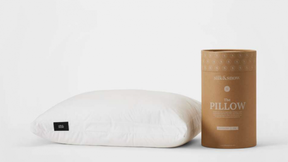 The Silk + Snow Pillow.