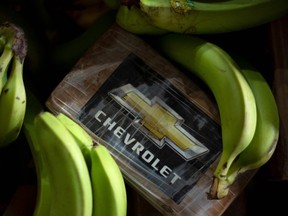 coaine in banana shipment