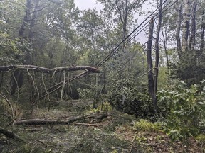 Residents of western Nova Scotia and southern New Brunswick are being warned to prepare for power outages and localized flooding as hurricane Lee is expected to transition to a powerful post-tropical storm on Saturday as it makes landfall in the region. This photo provided by Austin Rebello shows fallen trees from a storm that passed on Wednesday, Sept. 13, 2023 in Killingly, Conn.