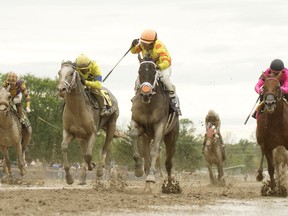 Jockey Justin Stein guides Velocitor, centre, to victory in the $400,000 Prince of Wales Stakes at Fort Erie Racetrack in Fort Erie, Ont. in this Tuesday, Sept. 12, 2023 handout photo.