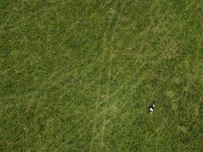 While no one explicitly told developers that Ontario planned to open up the protected Greenbelt for housing last year, the government telegraphed that message to builders through actions – and silence, the province's integrity commissioner found. A cow grazes on a farm in the Ontario Greenbelt near Guelph, Ont., on Monday, July 10, 2023.